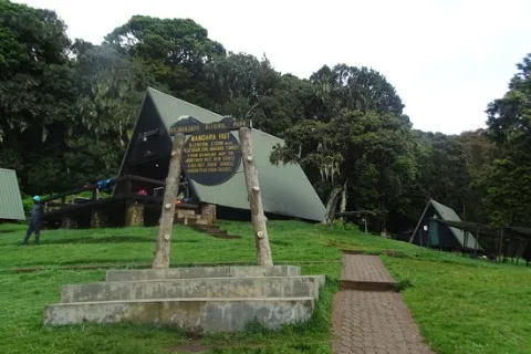 7-Day Lemosho Route-Kilimanjaro Climbing gallery image