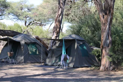 7-Day Adventurous Camping Safari in Okavango Delta and Chobe National Park gallery image