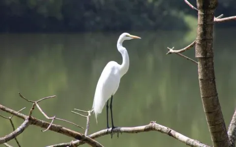 6-Day Affordable Tour - Explore Arusha, Heart of Tourism gallery image