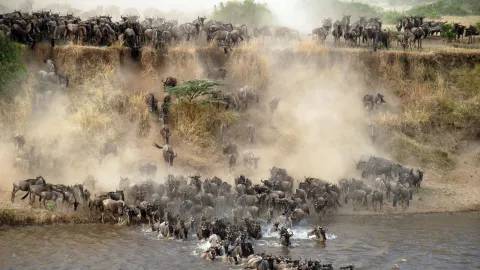 4-Day Amazing Tarangire Np, Serengeti Np +Ngorongoro Crater gallery image