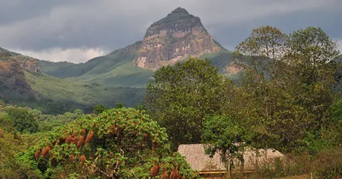4-Day Bale Mountain National Park Trekking gallery image