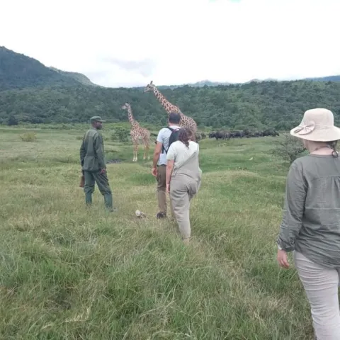 1-Day Arusha National Park gallery image