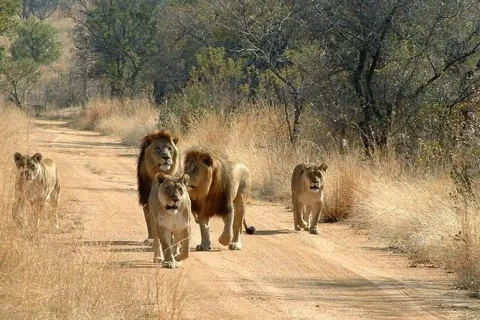 8-Day Best Of Southern National Parks gallery image