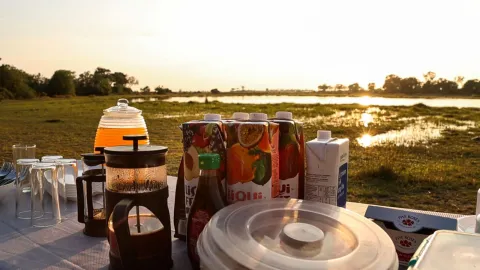 11-Day Botswana Wilderness Explorer Safari gallery image