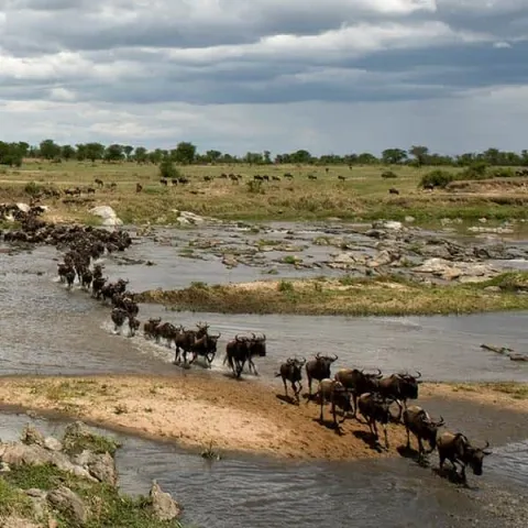 3-Day Celestial Plains Safari in Tanzania gallery image