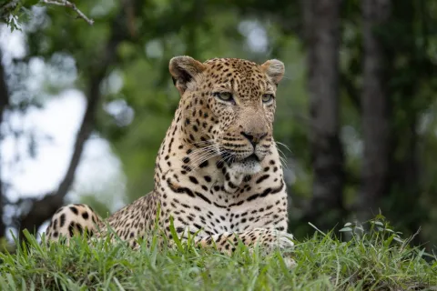 1-Day Selous Day Safari Tour gallery image