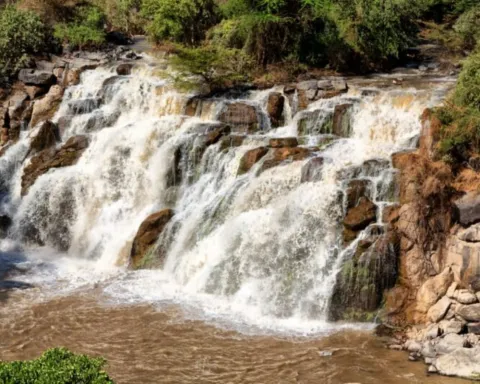 5-Day Ethiopian Wildlife and Safari Tour gallery image