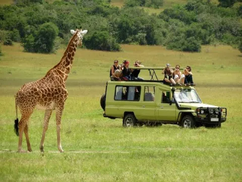 1-Day Discover the Crater of Ngorongoro gallery image