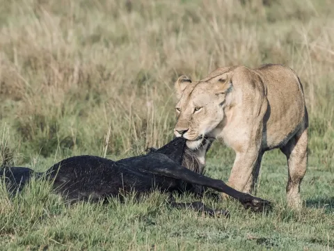 2-Day Explore The Beauty Of Northern Tanzania gallery image