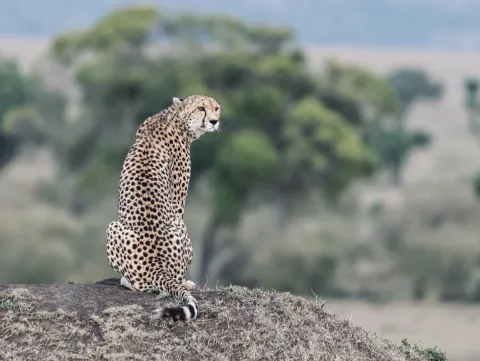 2-Day Explore The Beauty Of Northern Tanzania gallery image