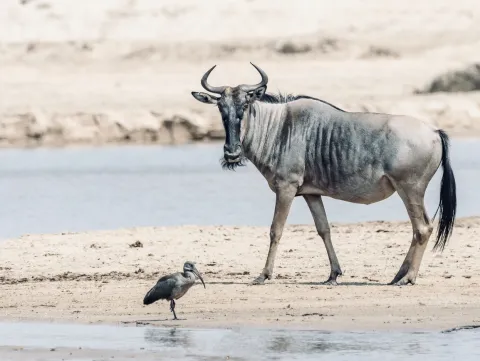 2-Day Explore The Beauty Of Northern Tanzania gallery image