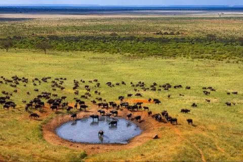 1-Day Exclusive Tsavo East National Park Safari gallery image