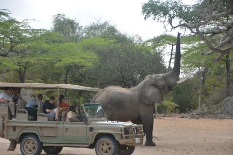 3-Day Flight Z'bar To Selous Fishing Safari, Game Drive gallery image