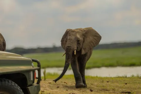 2-Day Flying Zanzibar To Nyerere National Park gallery image