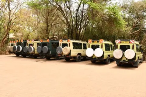 6-Day Great Migration Safari to Northern Serengeti N.Park gallery image