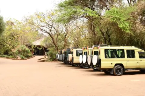 6-Day Great Migration Safari to Northern Serengeti N.Park gallery image