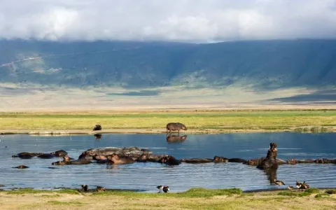 4-Day In the Wild - Memorable Safari gallery image