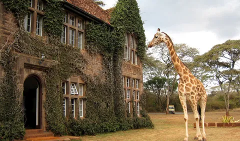 1-Day Karen Blixen Museum & Giraffe Centre Tour. gallery image