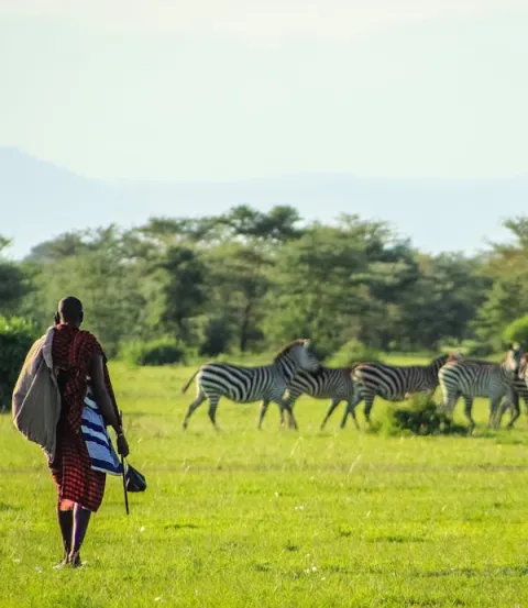 5-Day Kenya Exquisite Masaai Mara Reserve Honeymoon Package gallery image
