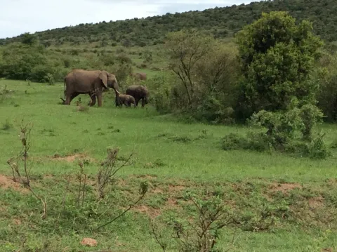 5-Day Kenya Exquisite Masaai Mara Reserve Honeymoon Package gallery image