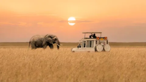 5-Day Kenya Exquisite Masaai Mara Reserve Honeymoon Package gallery image