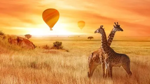 5-Day Kenya Exquisite Masaai Mara Reserve Honeymoon Package gallery image