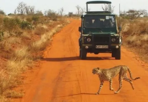 4-Day MasaiMara National Reserve to Lake Nakuru National Park gallery image