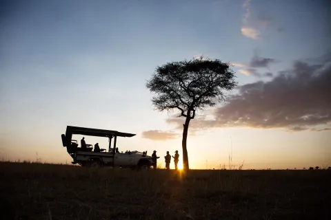 3-Day Memorable Safari in Tanzania gallery image