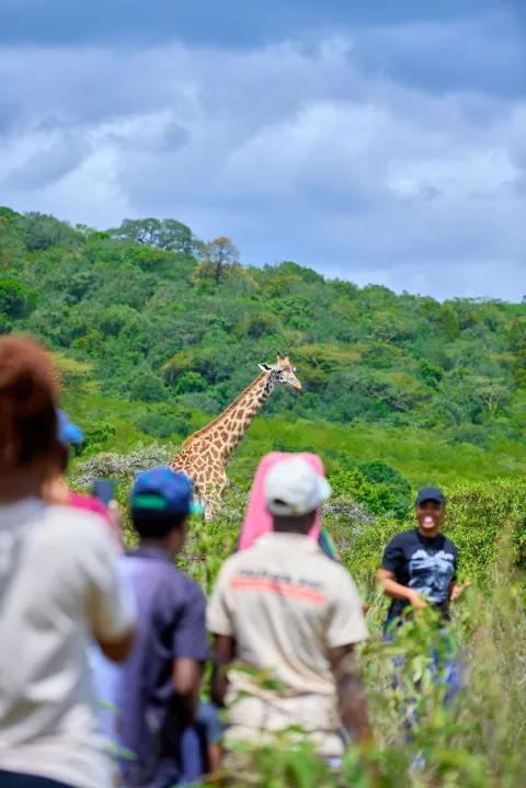 3-Day Mikumi National Park gallery image