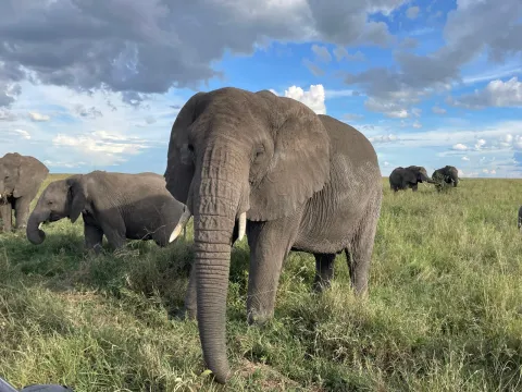 3-Day Mikumi National Park gallery image