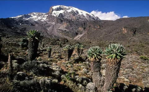 6-Day Mount Kilimanjaro Trekking Rongai Route gallery image