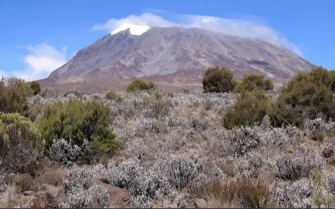 6-Day Mount Kilimanjaro Trekking Rongai Route gallery image
