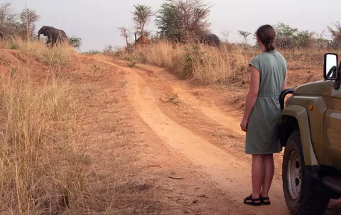 3-Day Murchison Falls Wildlife Safari and Rhino Tracking gallery image
