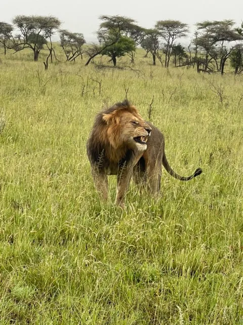 1-Day Ngorongoro crater trip gallery image