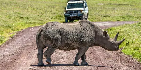 3-Day Nyerere National Park gallery image