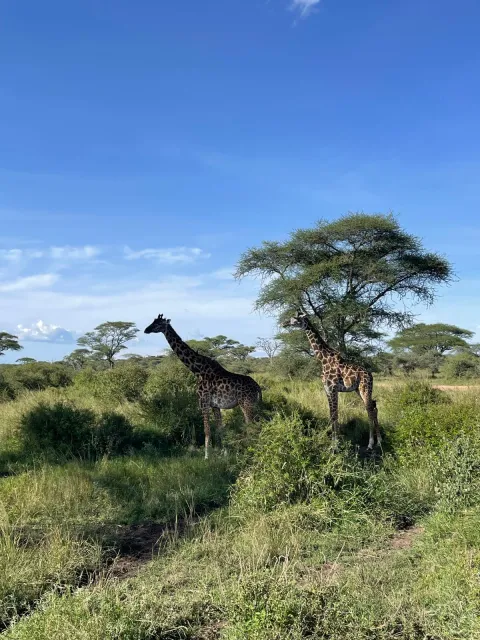 3-Day Nyerere National Park gallery image