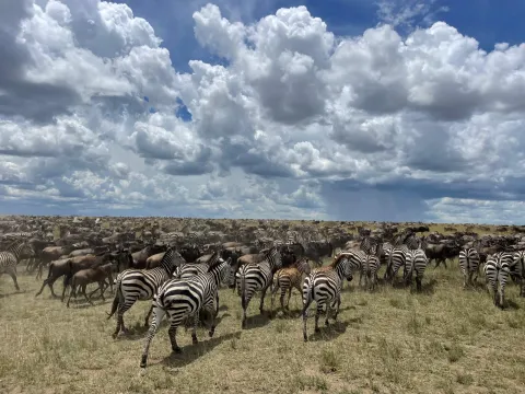 3-Day Nyerere National Park gallery image