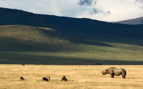 7-Day Private Luxury Adventure Safari gallery image