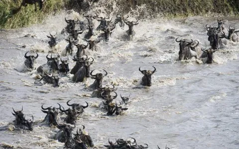 7-Day Private Luxury Adventure Safari gallery image