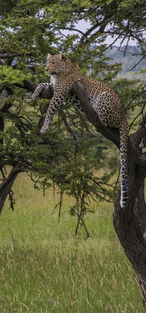 3-Day Safari dream voyage(nyerere national park) gallery image
