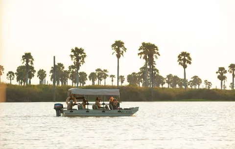 3-Day Safari dream voyage(nyerere national park) gallery image