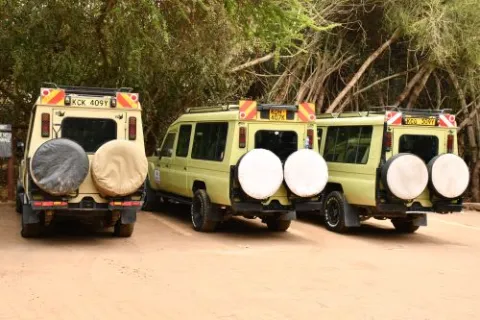 3-Day Safari to Serengeti National Park and Ngorongoro Crater gallery image