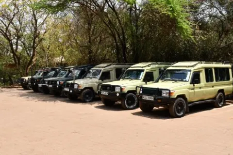 3-Day Safari to Serengeti National Park and Ngorongoro Crater gallery image