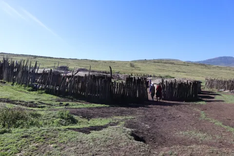2-Day Tarangire & Ngorongoro Crater Safari gallery image