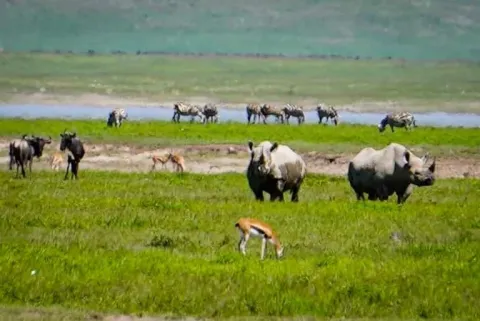 4-Day The Elite Bush Experience in Tanzania gallery image