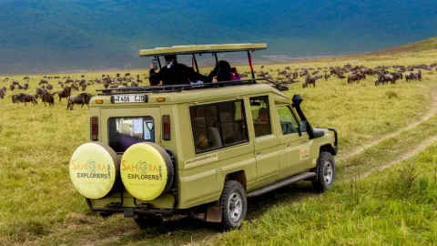 4-Day The Short of Tanzania Safari (Come, Watch & Go) gallery image