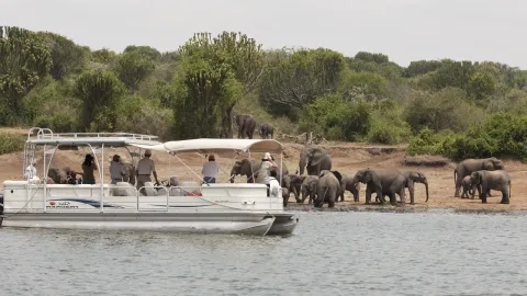 6-Day Uganda Wildlife, Chimpanzee and Gorilla Tracking Safari gallery image
