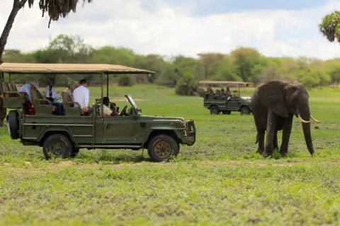 2-Day Fly Safari Zanzibar To Nyerere Np, 2 Game Drive + Boat gallery image