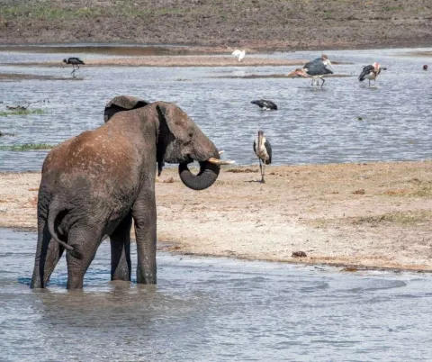 6-Day Cultural Safari Tour gallery image