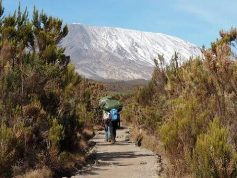 6-Day Kilimanjaro Hike- Machame Route gallery image